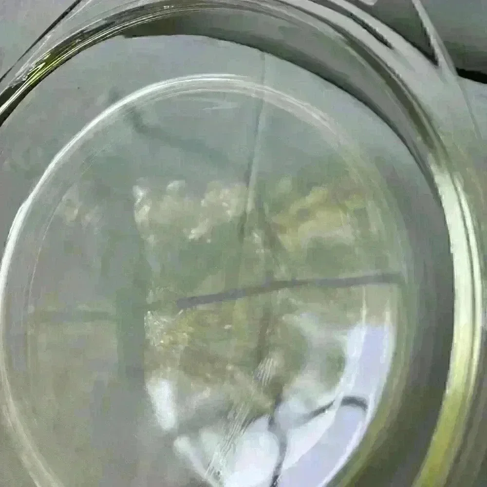 Pyrex Clear Glass Round Replacement‎ Lid Only 683 C B-5 Vintage - Fits 7